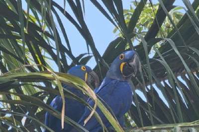 WhatsApp Image 2025-09-24 at 09.33.38.jpeg